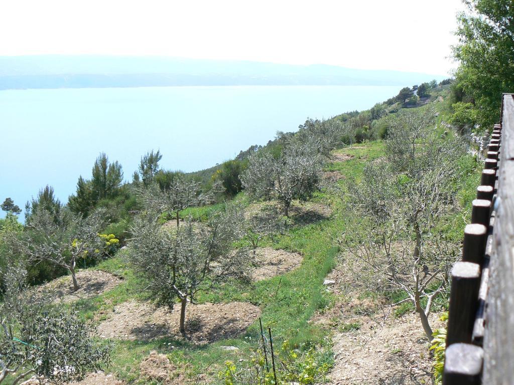 Charismatic Garden Cottage With Sea View Lokva Rogoznica Buitenkant foto