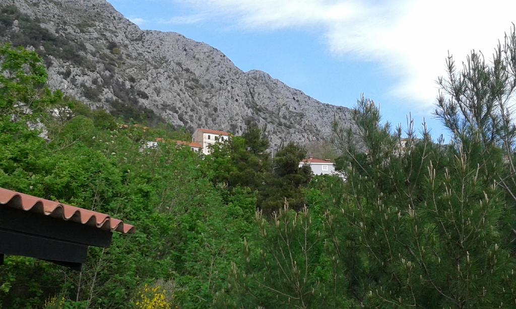 Charismatic Garden Cottage With Sea View Lokva Rogoznica Buitenkant foto